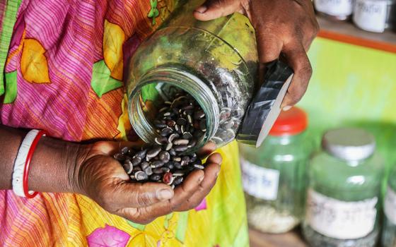 Alpana Rani Mistry often gives indigenous seeds to her neighbors and sends seeds to other parts of the country. (Stephan Uttom Rozario)
